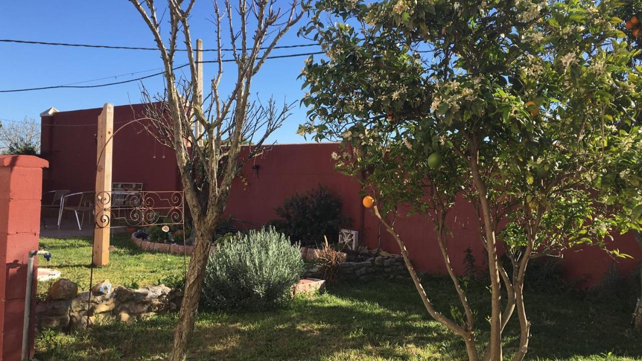 Higos Chumbos, Compartido Chiclana de la Frontera