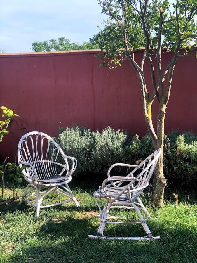Higos Chumbos, Compartido Pensión Chiclana de la Frontera