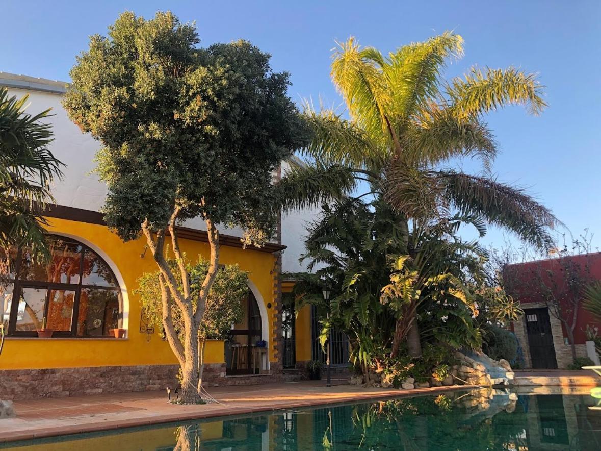 Higos Chumbos, Compartido Gasthof Chiclana de la Frontera
